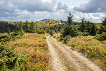 Ukrainian-Romanian border in the Carpathian mountains, Hiker overcomes a tourist route