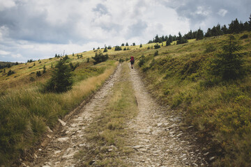Fototapeta na wymiar Ukrainian-Romanian border in the Carpathian mountains, Hiker overcomes a tourist route