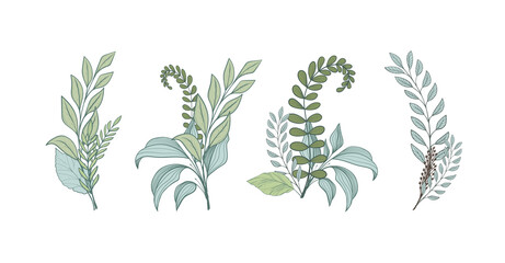 A set of graceful bouquets of different forest herbs, green branches of plants with leaves, elements for a wedding card design. Vector illustration isolated on white background.