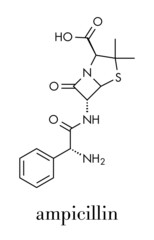 Ampicillin beta-lactam antibiotic drug molecule. Skeletal formula.