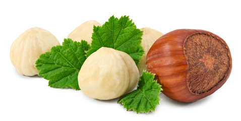 hazelnuts with green leaf isolated on white background macro. clipping path