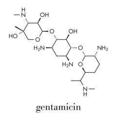 Gentamicin antibiotic drug (aminoglycoside class) molecule. Skeletal formula.