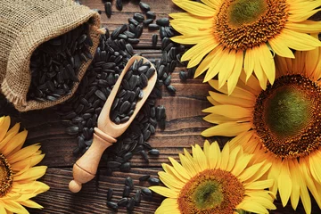 Tuinposter Canvas bag of sunflower seeds, scattered black seeds and beautiful yellow sunflowers on wooden board, top view. © chamillew