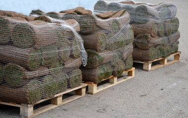 pallets with grass carpets. Rolls of grass used when laying the lawn. three packs of rolls