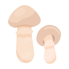 Champignon mushroom in flat style. Hand drawn vector illustration of edible wild forest mushroom. Autumn symbol, organic food icon. Isolated element for design