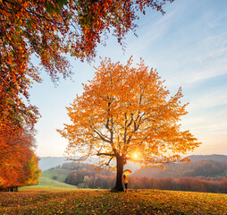 Autumn landscape. Girl in yellow dress and rubber boots stands at the tree holding the rainbow...