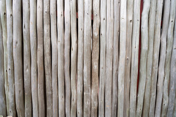 Dry bamboo wall fence texture background