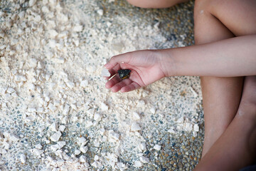 Child's hand holding crystal rock.Mining Science activity fot children.Exploration of minerals for kids.Discovery of rocks.