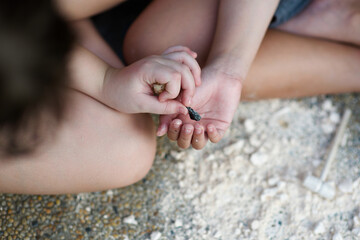 Child's hand holding crystal rock.Mining Science activity fot children.Exploration of minerals for kids.Discovery of rocks.