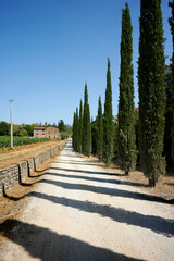 strade bianche