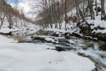 River in a valley in a mountain river landscape in snowy winter, with trees in Ordesa Valley, Pyrenees, national park, Spain