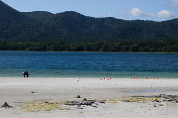 砂浜と湖と山