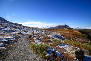 奥へと続いていく登山道