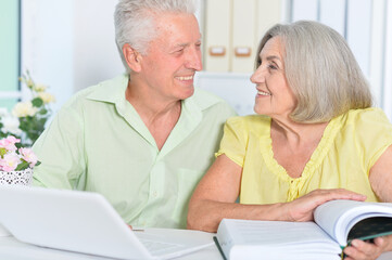 Portrait of senior couple using laptop at home