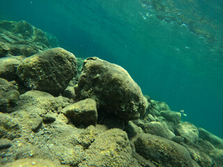 Underwater world of Mediterranean Sea. Near Marmaris, Turkey