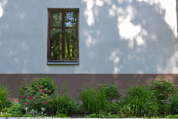 Old house wall with window and blooming flower garden