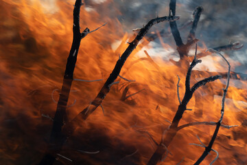 U.S. Department of Agriculture (USDA) Forest Service (USFS) Kaibab National Forest fire personnel Brandon Oberhardt