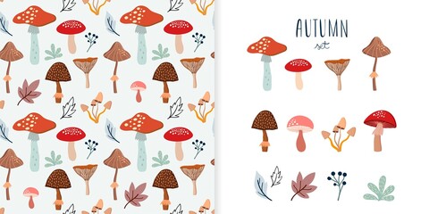 Autumn set with seamless pattern  and a collection with seasonal elements, different mushrooms and plants
