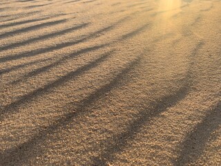 Texture Sand Dune Desert