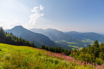 Naklejka premium Mountains near Ruhpolding with meadows on sunny day