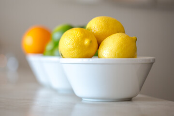 Still life of lemons, limes, fruit