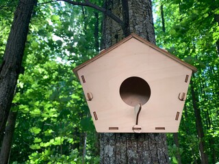 Bird house in a park