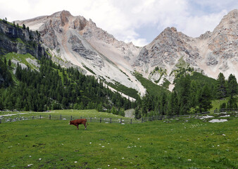 suggestivo panorama montano delle Dolomiti in Val Badia in estate