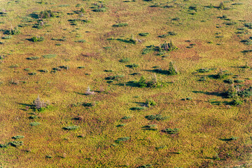 mountain fragment texture. view from a high mountain