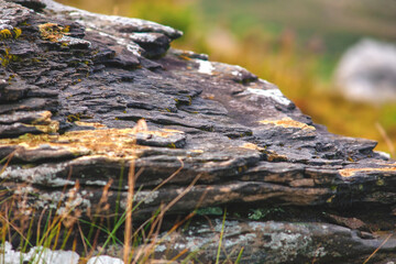 unusual stone from the bowels of the earth