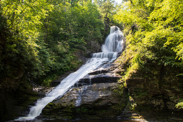 Cascading waterfall in the middle of a forest