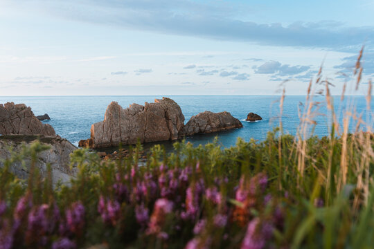 Scenic coastline with rocky cliffs and flowers