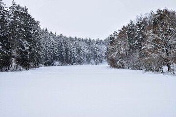 beautiful winter landscape. frozen forest lake. winter's tale