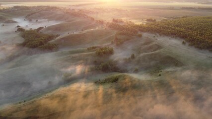 landscape with fog