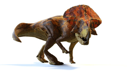 Protoceratops, dinosaur from the Late Cretaceous period, isolated with shadow on white background
