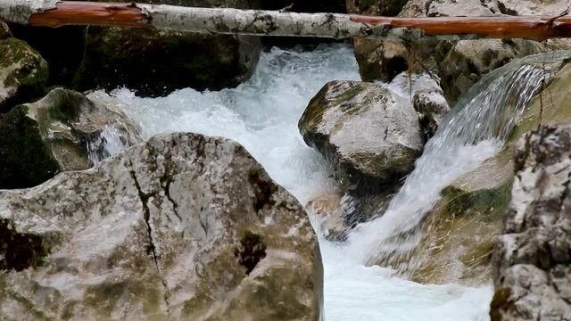 rauschender sommerlicher Gebirgsbach, Ramsauer Ache im Zauberwald, Hintersee