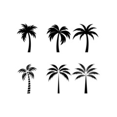 Fototapeta na wymiar Vector logo design template with palm tree - abstract summer and vacation badge and emblem for holiday rentals, travel services, tropical spa and beauty studios.