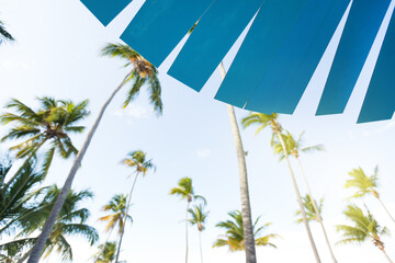 Coconut palm trees an pristine bounty beach