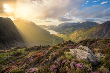 Breathtaking view of Buttermere and Crummock Water in the English Lake District taken on a sunny Summer evening. Dramatic light illuminating mountain range with Heather in foreground.  - 454148746