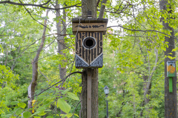 The funny painted birdhouses on the tree. Handmade wooden nesting box.