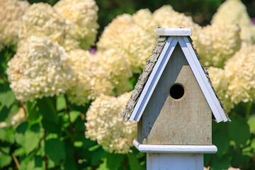 Wooden birdhouse in front of a flowering Hydrangea plant