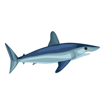 Mako shark isolated on white background. Cartoon character of ocean for children.