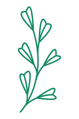 Fototapeta na wymiar green branch with flowers