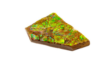 Macro of the mineral stone ammolite on white background