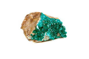 Macro mineral stone Dioptase silicate copper on a white background