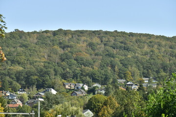 Bâtisses le long d'une route à flanc de colline à Trois-Ponts en Haute Belgique