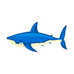 Shark isolated on white background. Cartoon character of ocean for children. Simple kid print fish.