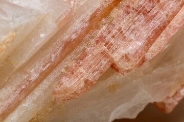 Obraz premium Macro mineral stone Tourmaline in the breed a white background