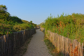 Obraz premium Path through the dunes along the French opal coast near Calais on a sunny day with clear blue sky 