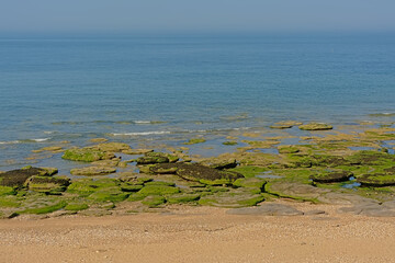 Rocks with algae the opal coast of the north sea, nord pas de Calais, France  - obrazy, fototapety, plakaty