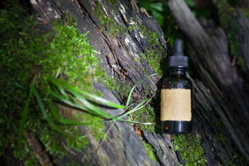 Obraz premium Beard Oil - barbershop product photography. Top view. Bottle and forest. Empty label